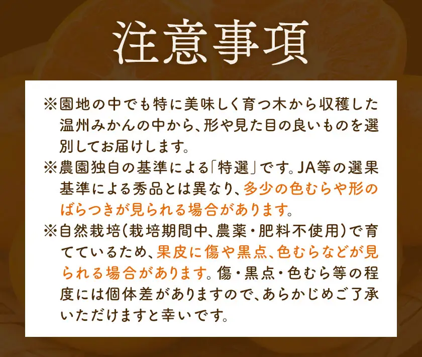 特選 温州みかん 2kg 池田農園
