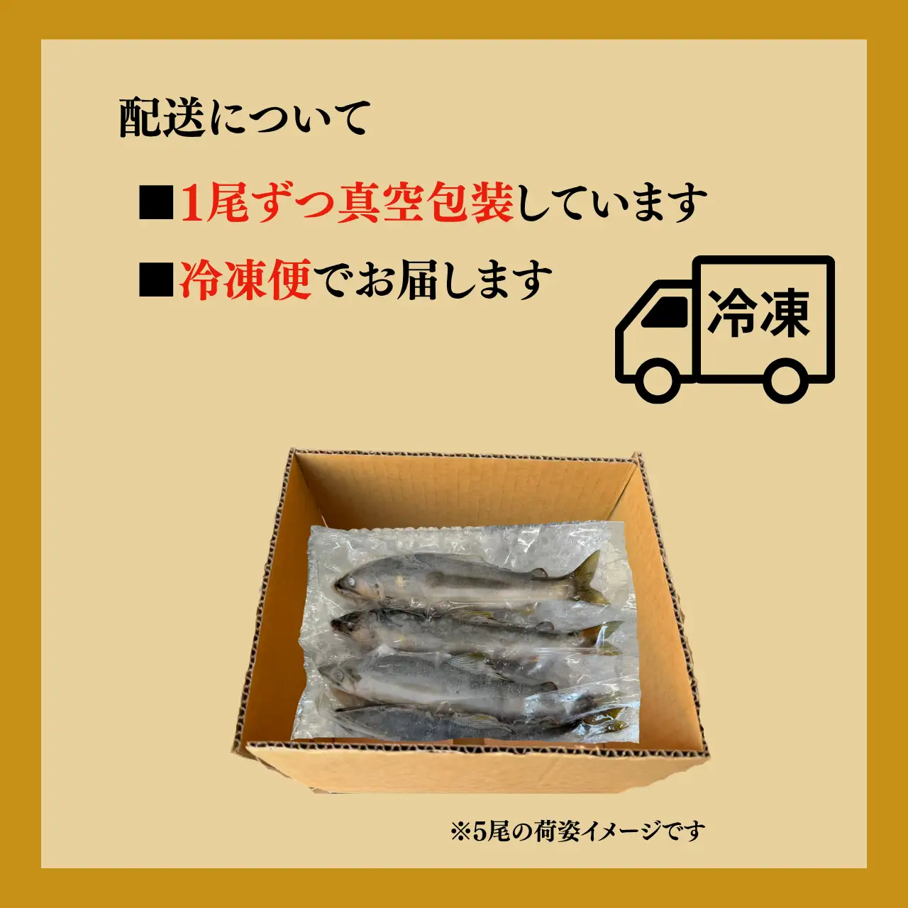 鮎 勝山市 九頭竜川産天然鮎 300g 