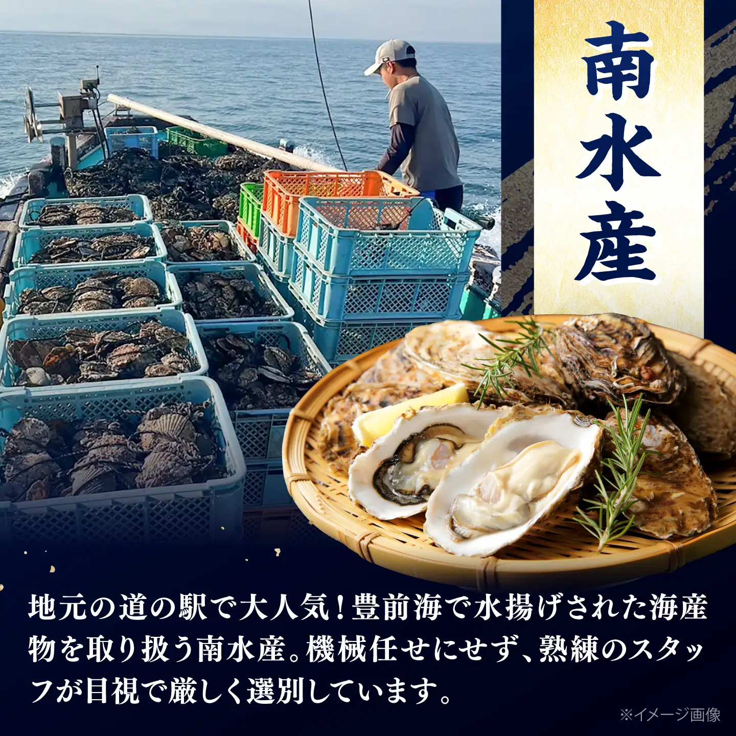 【先行予約】豊前海 一粒 牡蠣 約500～600g×2パック BGBD004
