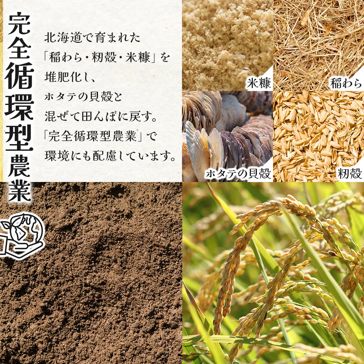 ＜令和8年産＞お米 おぼろづき 10kg｜『100%自家生産精米』善生さんの自慢の米 北海道 岩見沢市 精米 白米 新米【a104-119】