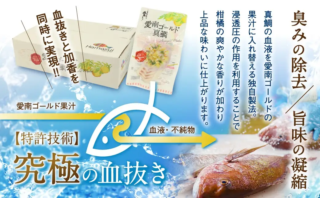 【訳あり】 愛南ゴールド真鯛 合計約 500g チョイスアワード大賞受賞 ESSEグランプリ金賞受賞 真鯛 