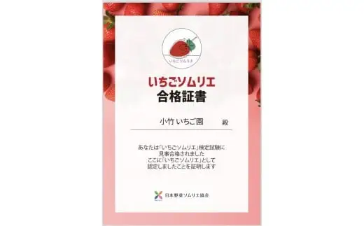 【先行予約】いちご とちあいかセット 270g×2パック（540g）｜いちご イチゴ 苺 先行予約 栃木県 果物 くだもの フルーツ とちあいか 新鮮 贈答 ギフト ※2027年1月～発送