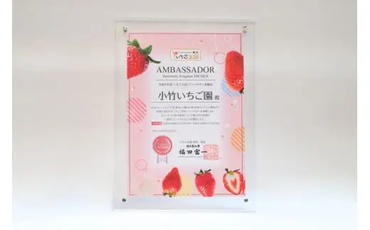 【先行予約】いちご とちあいか・スカイベリーセット 270g×2パック（540g）｜いちご イチゴ 苺 先行予約 栃木県 果物 くだもの フルーツ とちあいか スカイベリー 新鮮 贈答 ギフト 高級 食べ比べ ※2027年1月～発送