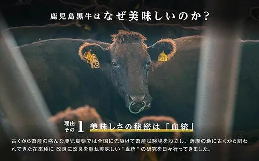 【特別企画】鹿児島黒牛カタローススライスセット計1.8kg〈R-901〉