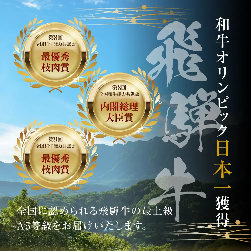 【定期便】飛騨牛 豚 切り落とし 定期便 全3回 | 本巣市 トキノ屋 食品