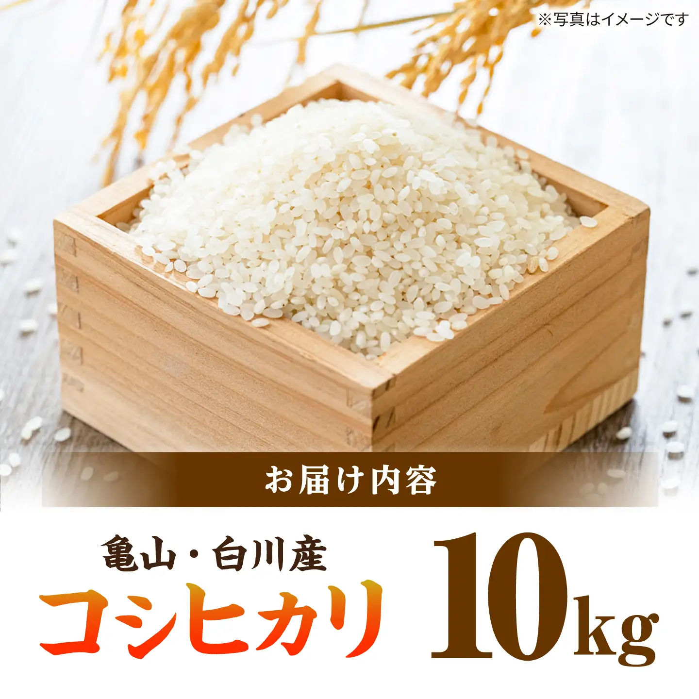 おいしい!亀山・白川産コシヒカリ 10kg 亀山市/せせらぎの里営農組合 お米 コシヒカリ 送料無料[AMAX004]