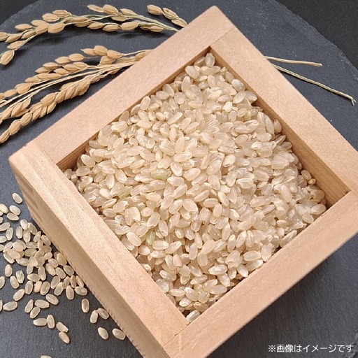 定期便】令和8年産米 淡路島産キヌヒカリ 玄米10kg《12回コース