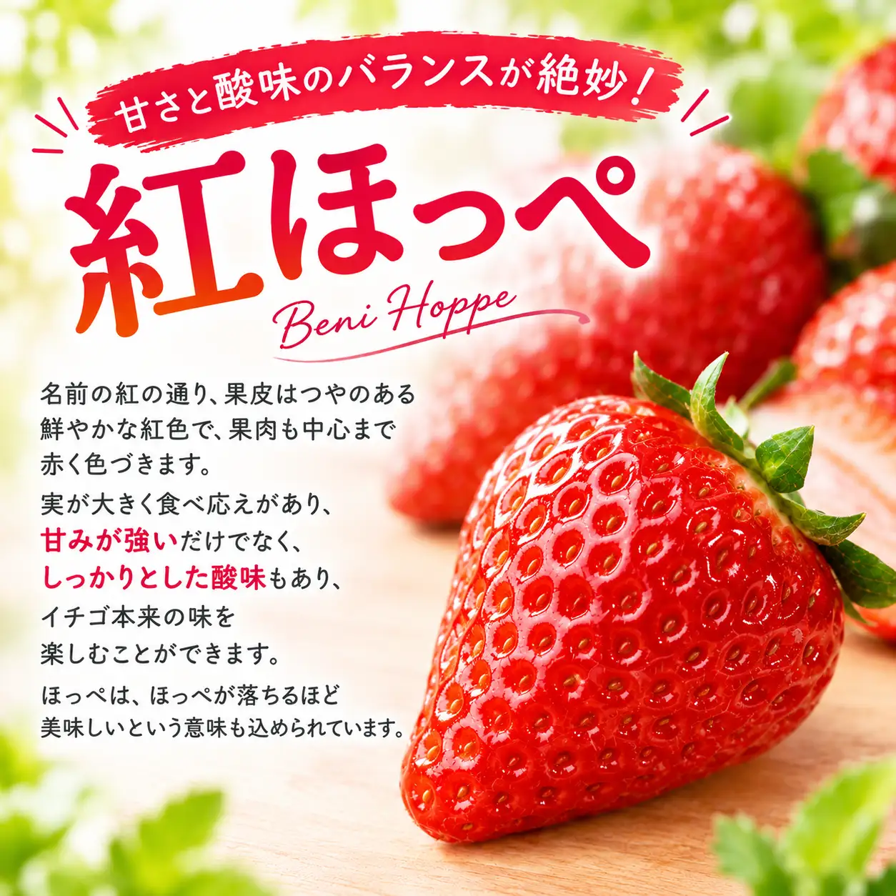 【先行予約】いちご 紅ほっぺ 2パック 