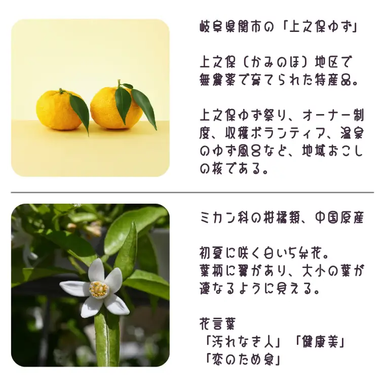 「上之保ゆず」モチーフつまみ細工のピンバッチ