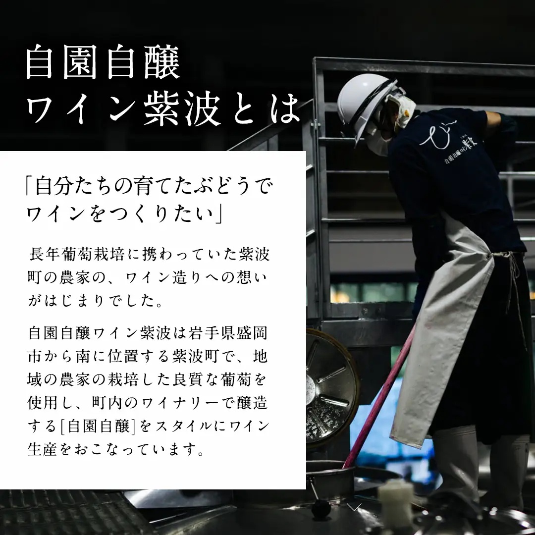 カーブ紫波 赤白 ワイン 2本セット 【カーブ紫波マスカットベーリーＡ・カーブ紫波リースリング】 赤ワイン 白ワイン (AL110)