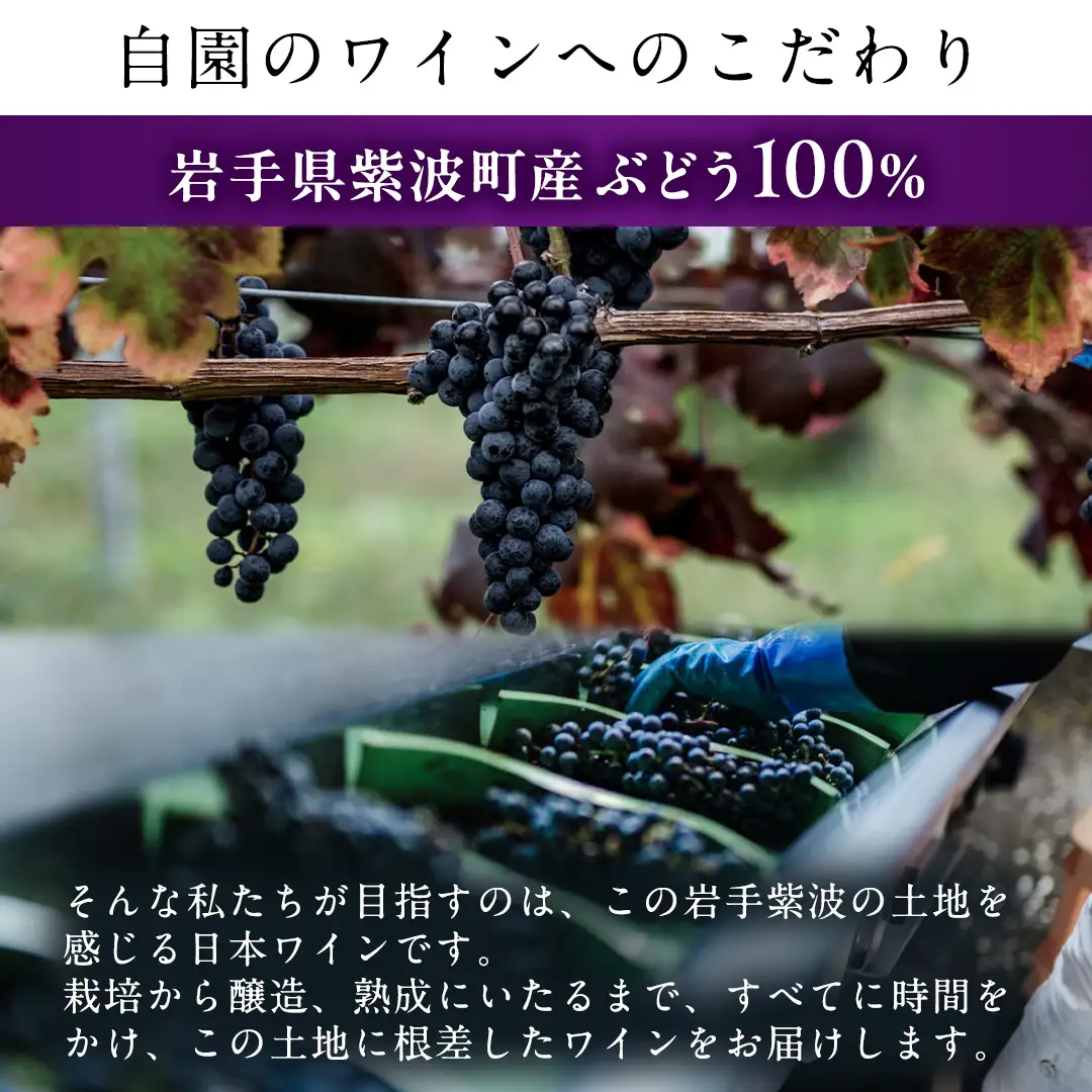 自園自醸ワイン紫波 樽熟成 赤ワイン3本セット (AL114)