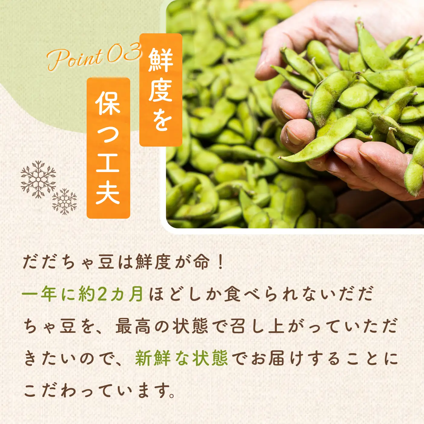 【令和9年産先行予約】枝豆 だだちゃ豆 (晩生) 1.5kg (500g×3袋)×3セット 計4.5kg　だだちゃ喜左衛門株式会社