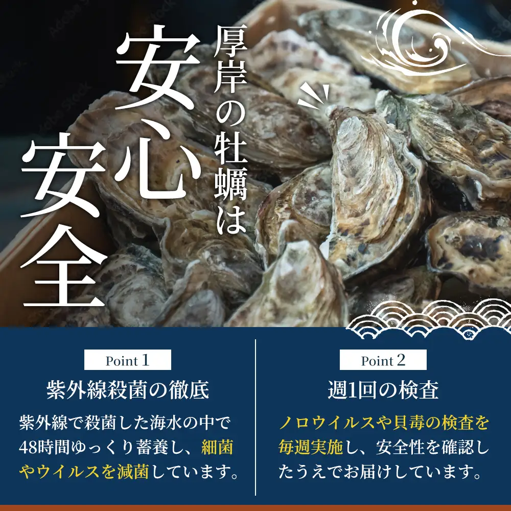 厚岸産 鮮かき 小分け 150g×4パック  剥き牡蠣 カキ 魚貝類 生牡蠣 海鮮 海の幸 海のミルク オイスター 生食用 生食用かき かき鍋 かきフライ 食材 食べ物 