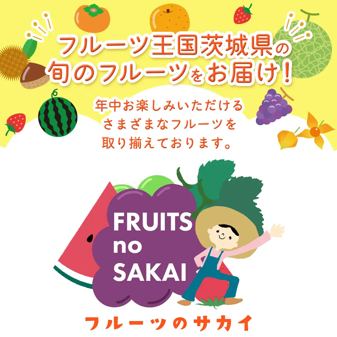 【定期便】旬ないちご品種おまかせ6ヶ月連続お届け便 （約250g×2パック）×6回【2026年12月から発送開始】（茨城県共通返礼品 [いちご]：城里町産） 果物 くだもの フルーツ イチゴ 苺 旬 品種おまかせ 人気