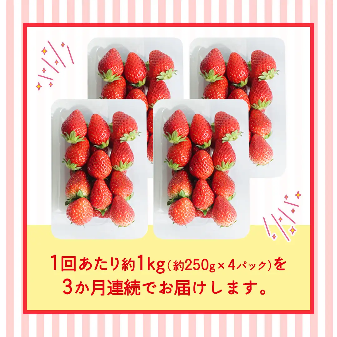 【定期便】とちおとめ 約250g（15～18粒）×4パック 3ヶ月連続お届け便【2026年12月から発送開始】（茨城県共通返礼品 [いちご]：城里町産）