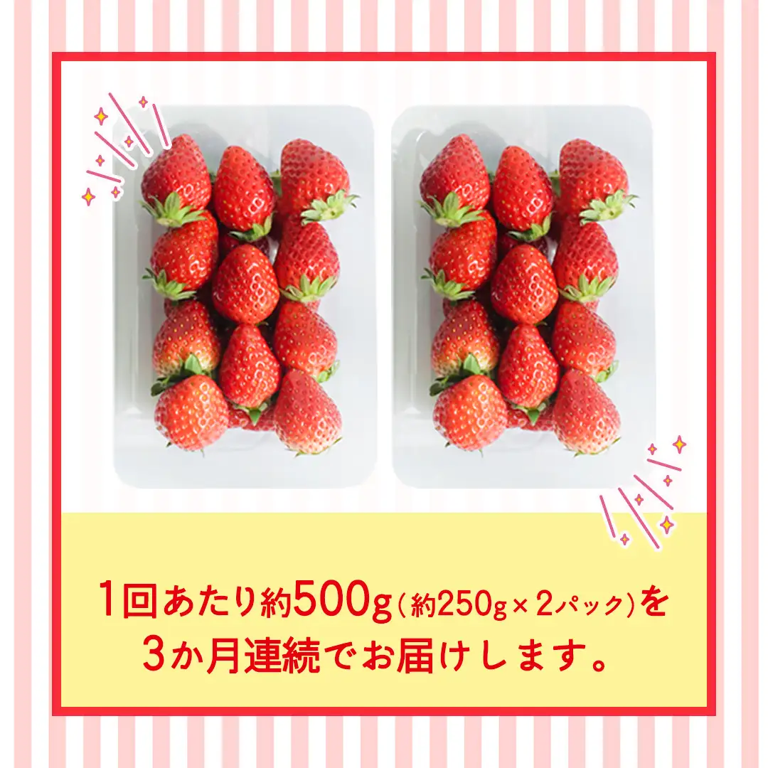 【定期便】とちおとめ 約250g（15～18粒）×2パック 3ヶ月連続お届け便【2026年12月から発送開始】（茨城県共通返礼品 [いちご]：城里町産）