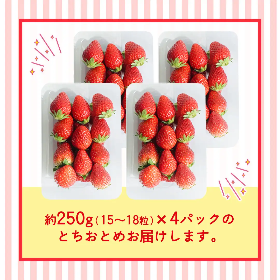 とちおとめ 約250g（15～18粒）×4パック【2026年12月から発送開始】（茨城県共通返礼品 [いちご]：城里町産）