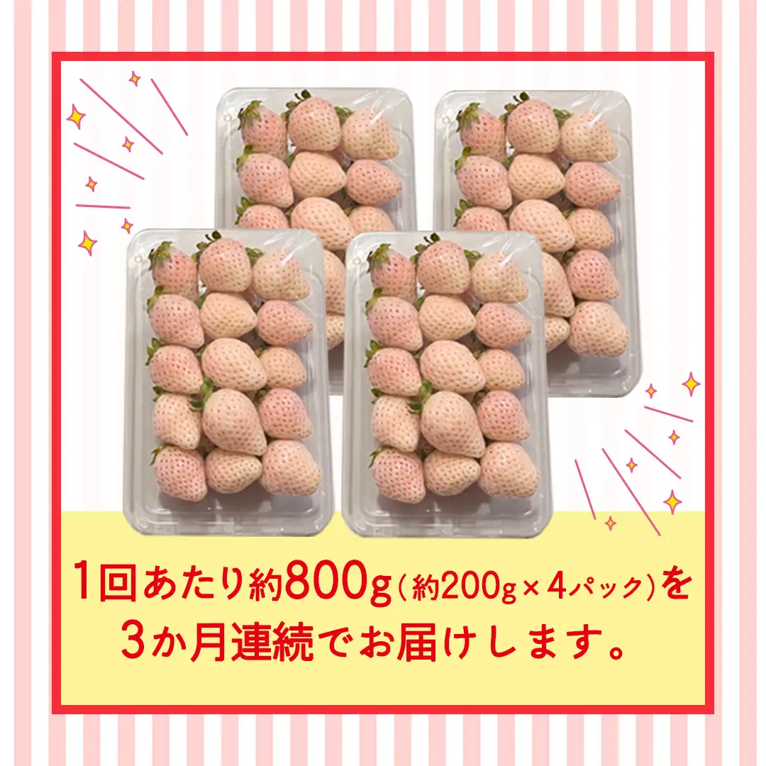 【定期便】白いちご 約200g×4パック 3ヶ月連続お届け便【2027年1月から発送開始】（茨城県共通返礼品 [いちご]：城里町産）