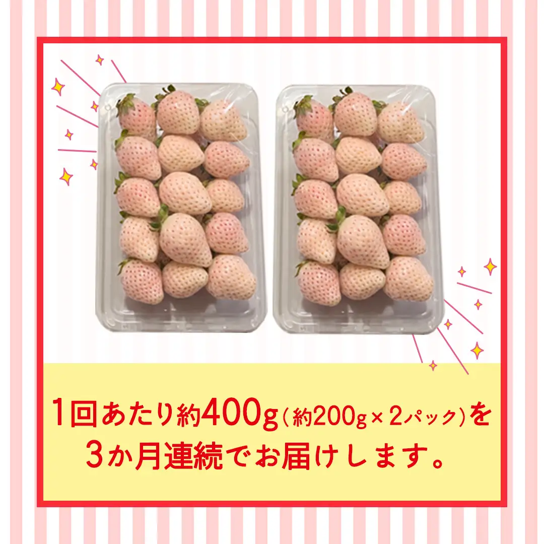 【定期便】白いちご 約200g×2パック 3ヶ月連続お届け便【2027年1月から発送開始】（茨城県共通返礼品 [いちご]：城里町産）
