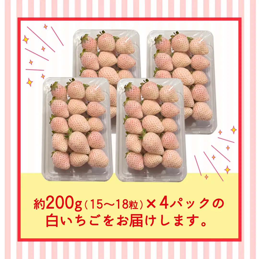 白いちご 約200g（15～18粒）×4パック【2027年1月から発送開始】（茨城県共通返礼品 [いちご]：城里町産）