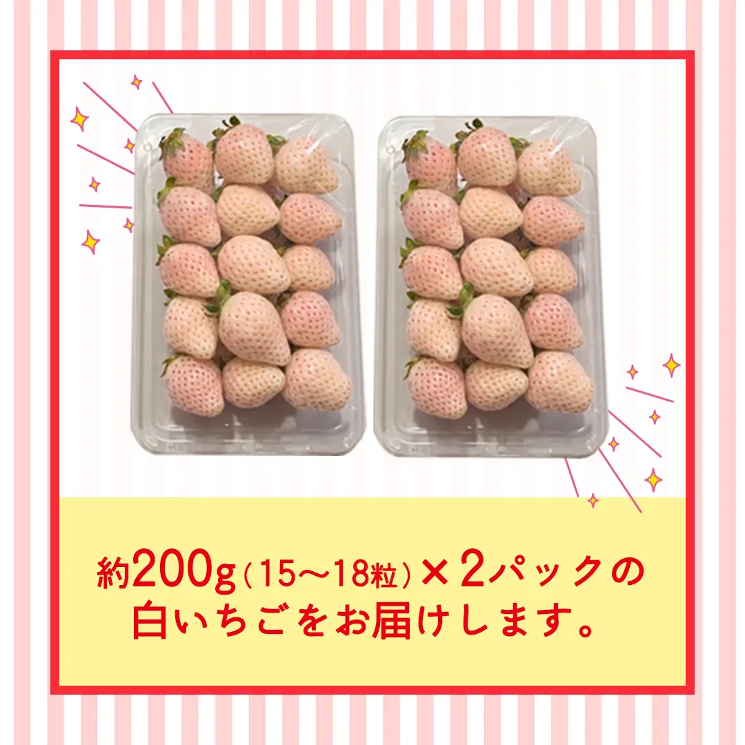 白いちご 約200g（15～18粒）×2パック【2027年1月から発送開始】（茨城県共通返礼品 [いちご]：城里町産）