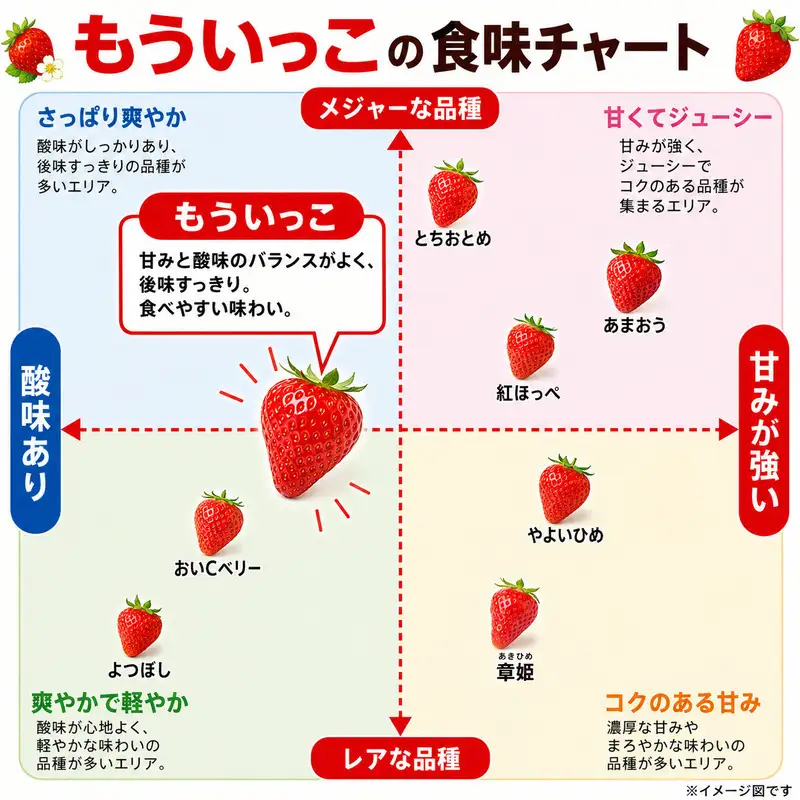 いちご イチゴ 苺 先行予約 12月発送 家庭用 もういっこ 宮城県亘理町産 2000g 250g×8パック 小分け 冷蔵配送 国産 フルーツ 返礼品