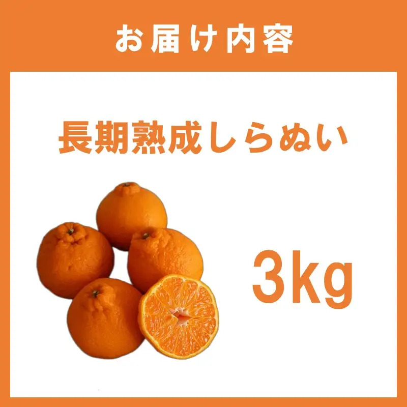 長期熟成しらぬい3kg＜先行予約2027年5月発送開始分＞【1357】