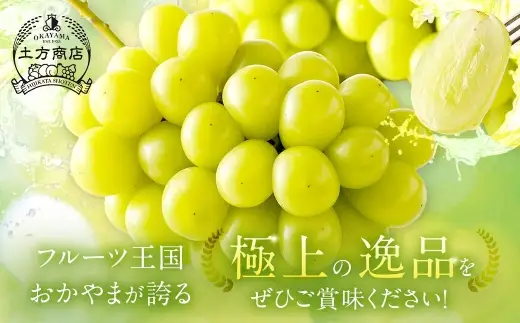 シャインマスカット 晴王 秀品 1房 約600g ぶどう ブドウ 葡萄 マスカット 果物 くだもの フルーツ 果実 種なし 皮ごと 国産 岡山県産 冷蔵 【 2026年9月上旬から10月下旬迄発送 】