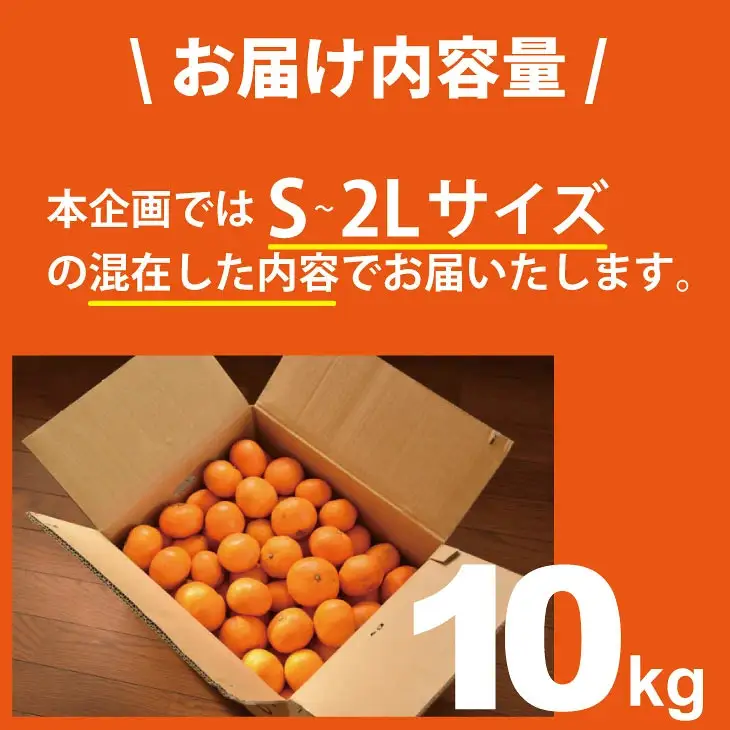 【先行予約】 佐賀県産 みかん（10kg）　潮風ファーム 大津 柑橘 温州みかん  C230-016