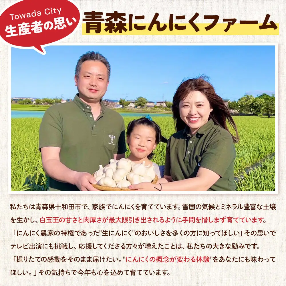 青森にんにく 乾燥にんにく 農家直送 大玉3kg 高級品種白玉王使用 青森にんにくファーム