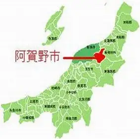 【令和8年産新米】整粒率95％の1等米！！ 阿賀野市産「新之助」無洗米 10kg（5kg×2袋） 中島農場 精米 新潟県 米 こめ コメ お米 ごはん ご飯 農家直送 色彩選別済 新米 新米予約 令和8年産 9月下旬より順次発送 3R13034
