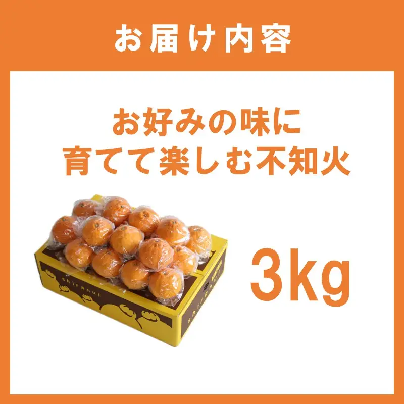お好みの味に育てて楽しむ不知火3kg＜先行予約2027年2月発送開始分＞【1359】