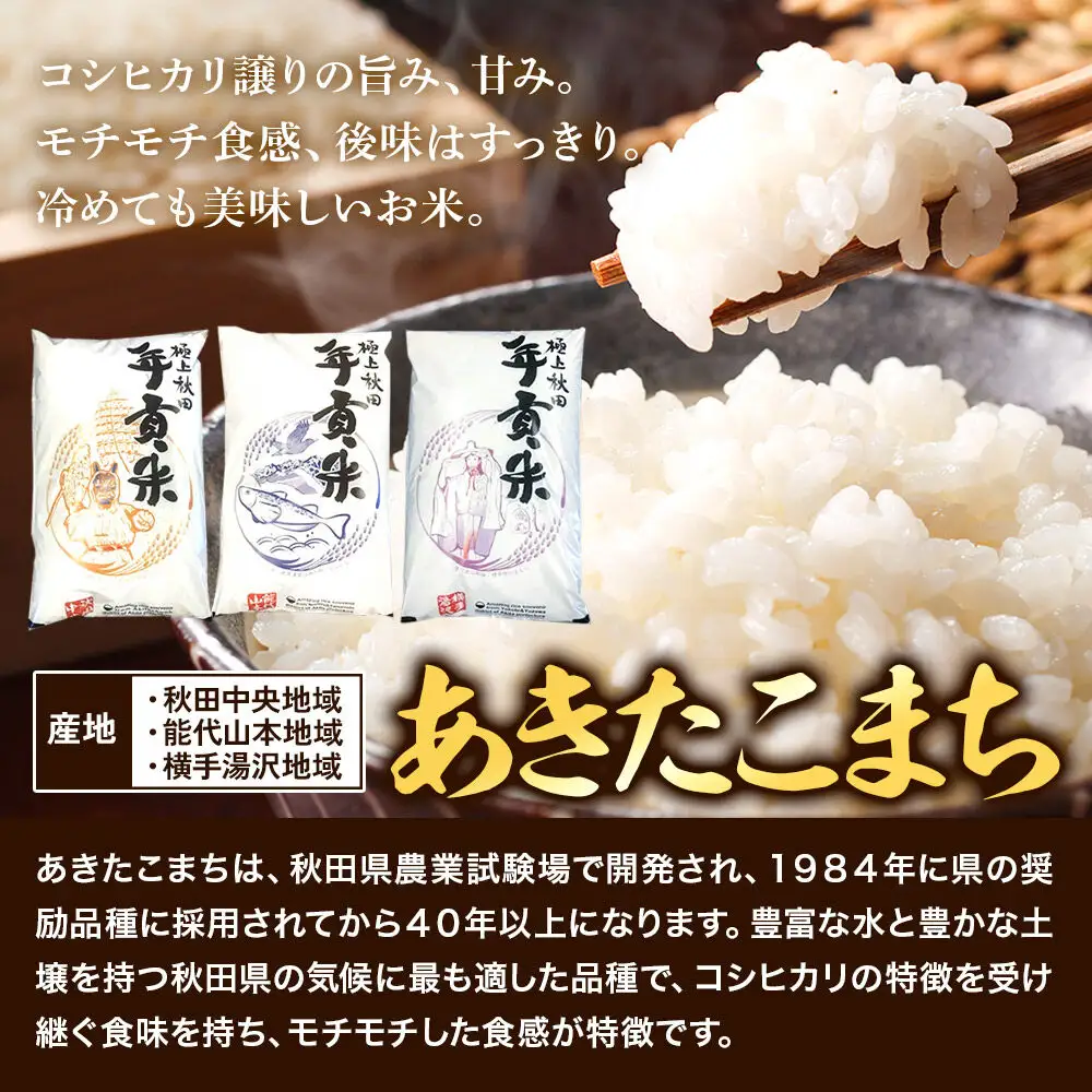 米 極上秋田年貢米 あきたこまち 秋田中央地域 10kg 令和7年産 秋田県産