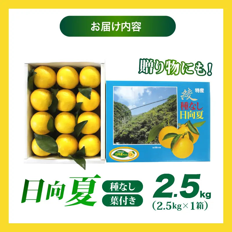 【先行受付】初春の旬「日向夏」種なし（オール葉付き）2.5kg 果物 フルーツ くだもの 柑橘 フルーツサンド おやつ スイーツ デザート ジャム おすすめ ギフト 贈り物 贈答 プレゼント おすそ分け お返し 宮崎県 綾町 送料無料【JA綾町】_A0114-2711