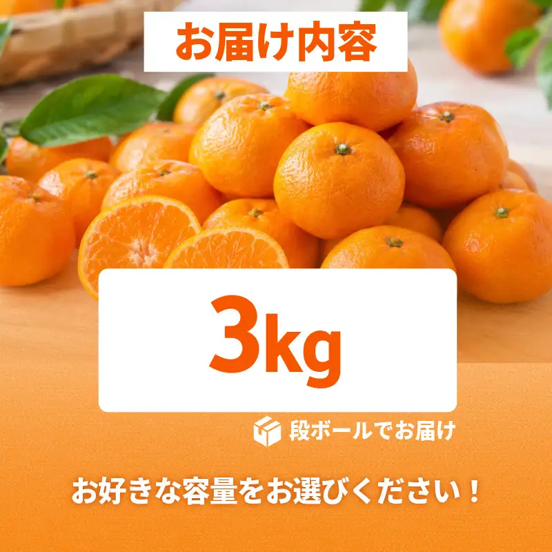 【2026年11月10日から発送】甘さ凝縮！濃蜜小粒 みかん 3kg 2S以下 小玉  小松島市