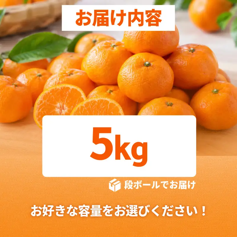 【2026年11月10日から発送】甘さ凝縮！濃蜜小粒 みかん 5kg 2S以下 小松島市