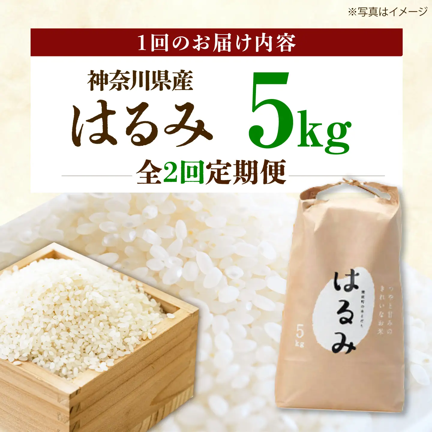 新米【全2回定期便】はるみ 5kg 令和8年産 米【遠藤ファーム】[BDAF006-1]