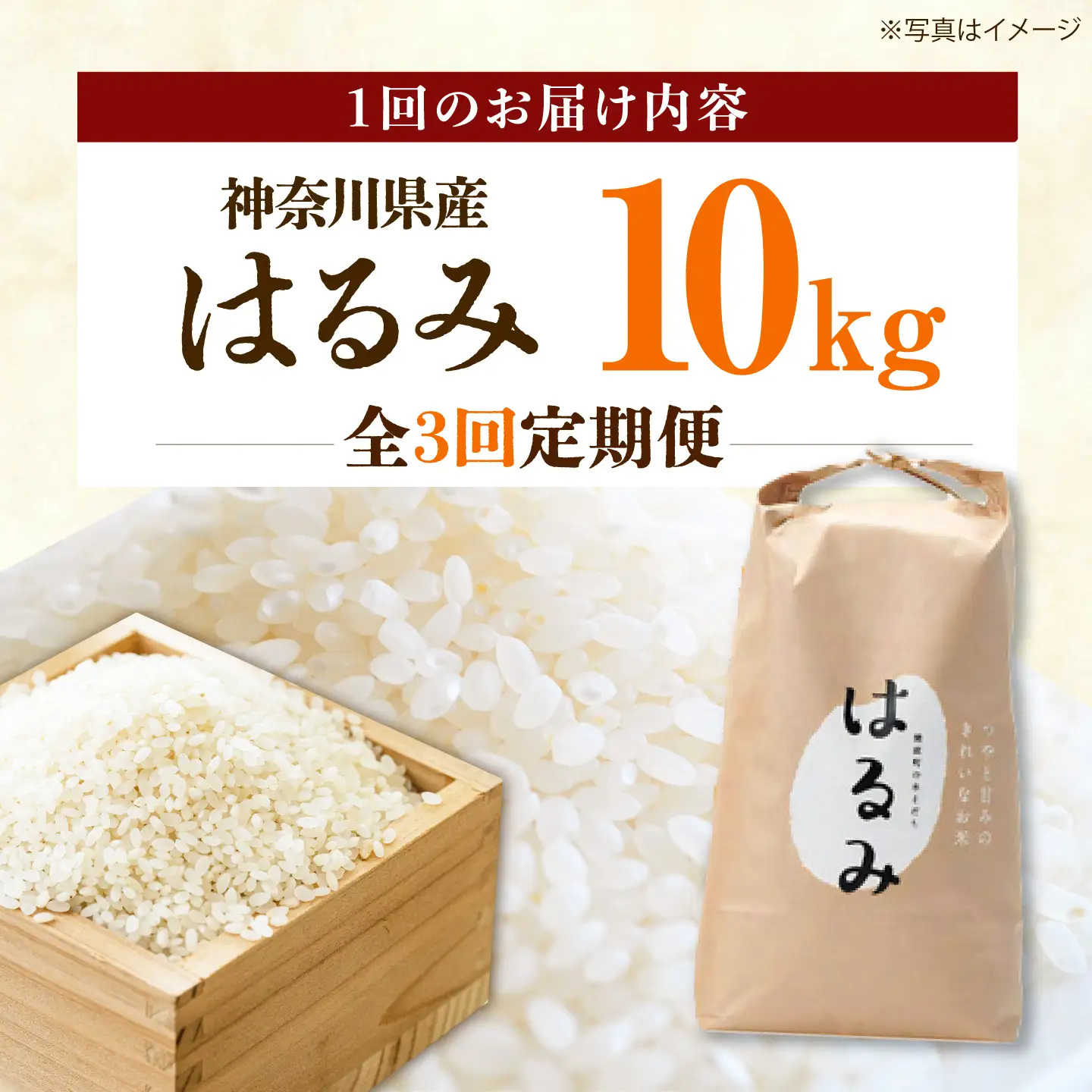 新米【全3回定期便】はるみ 10kg 令和8年産 米【遠藤ファーム】[BDAF006-4]