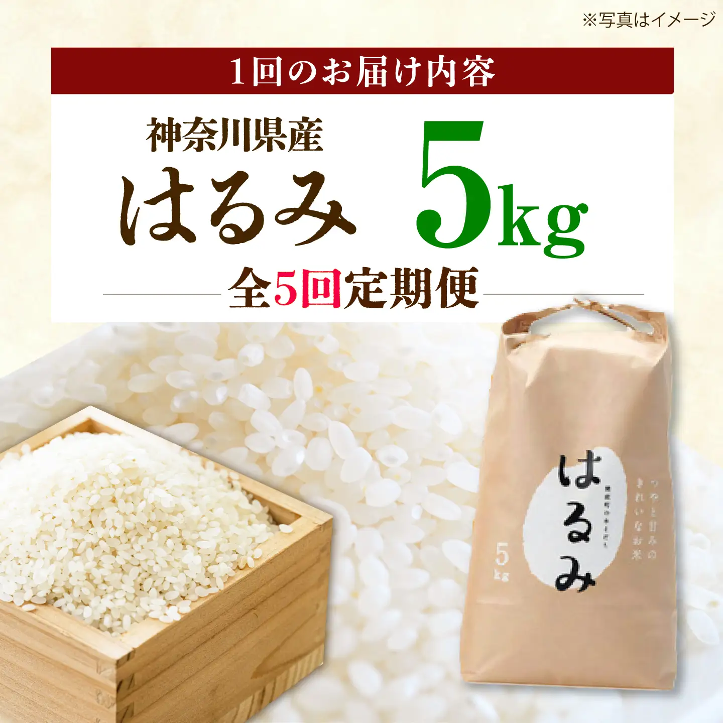 新米【全5回定期便】 はるみ 5kg  令和8年産 米【遠藤ファーム】[BDAF006-5]