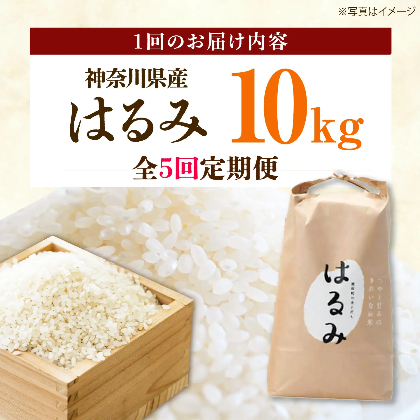 新米【全5回定期便】 はるみ 10kg 令和8年産 米【遠藤ファーム】[BDAF006-6]
