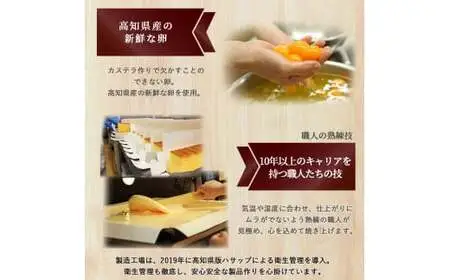【龍馬の太鼓判】四万十の米粉カステラ プレーン/四万十の緑茶半斤2本セット カステラ グルテンフリー 米粉／Bmu-C38