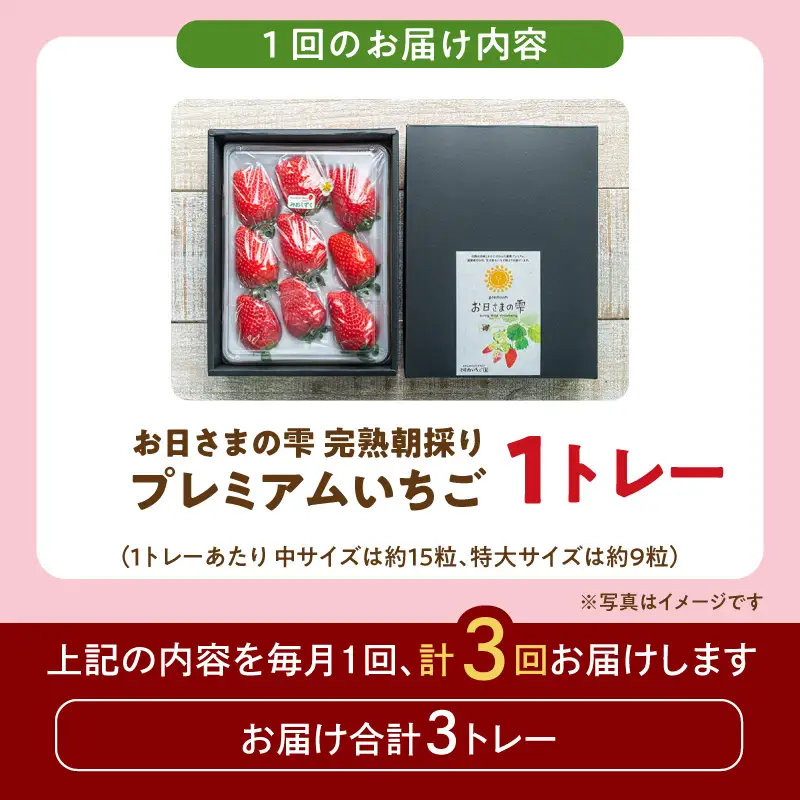 【定期便】お日さまの雫 完熟朝採りプレミアムいちご1トレー　３か月定期便 AM-00019T