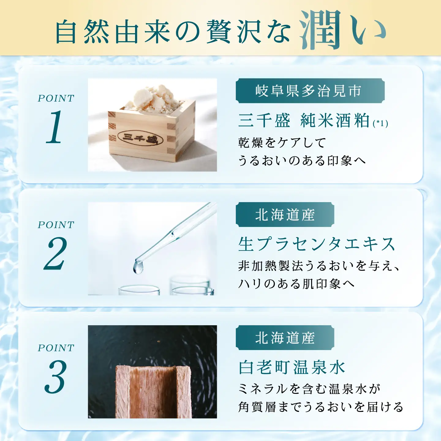 HADAYOI 化粧水 / 多治見市 / 三千盛 / 化粧水 化粧品 コスメ スキンケア エイジングケア 日本酒コスメ 酒粕 美容 アルコールフリー 着色料・合成香料不使用 鉱物油不使用 国内製造[TBC015]