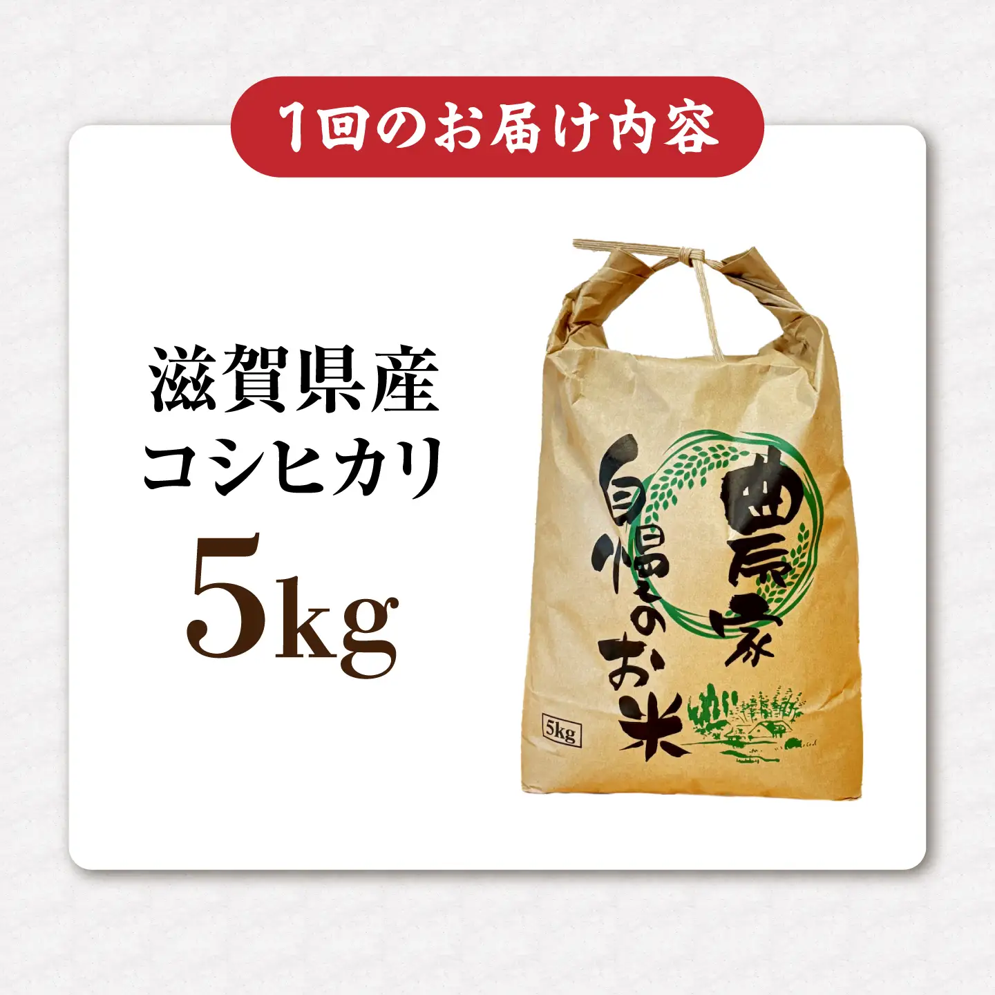【全3回定期便】コシヒカリ 5kg 滋賀県長浜市/狩野農園[AQDK005]