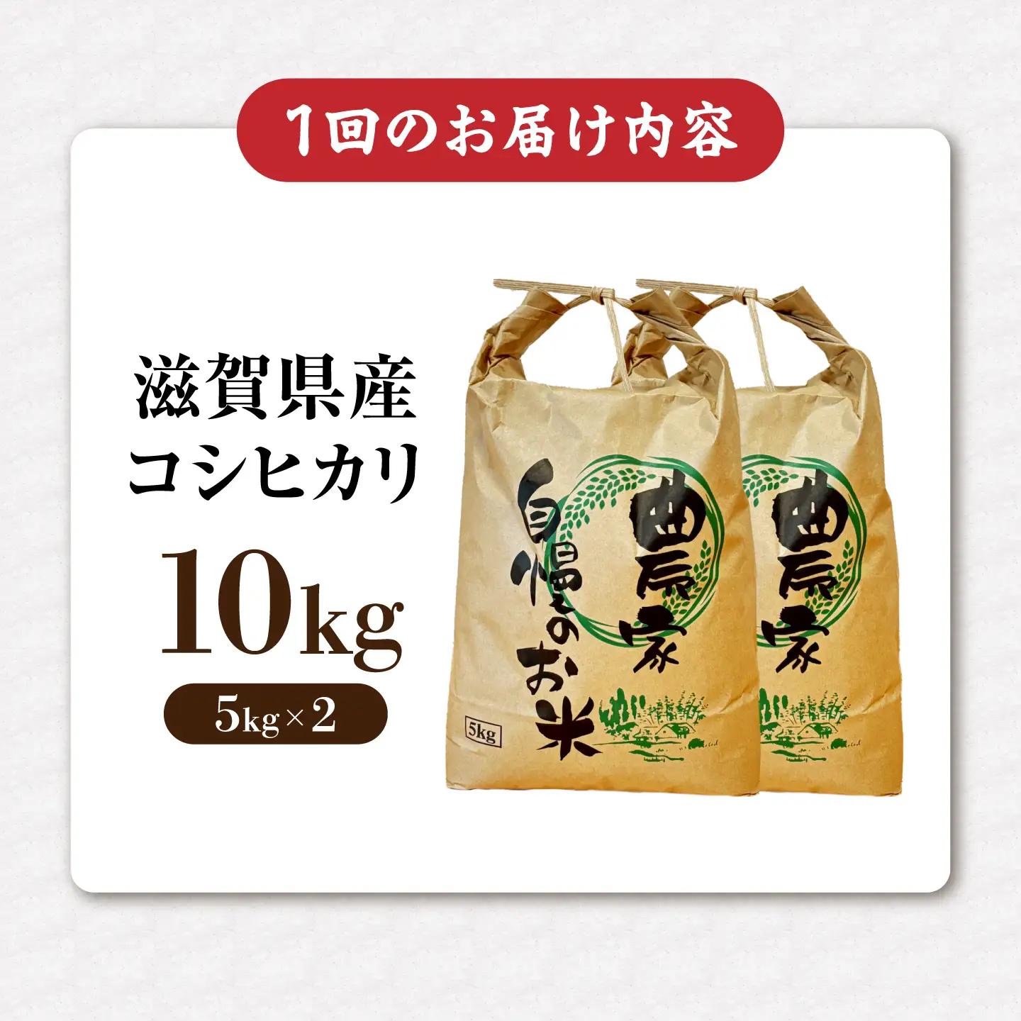 【全3回定期便】コシヒカリ 10kg 滋賀県長浜市/狩野農園[AQDK006]