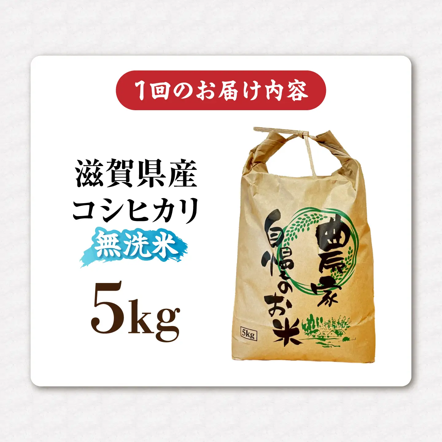 【令和8年産】【3ヶ月5kg定期便】無洗米 コシヒカリ[AQDK007] 無洗