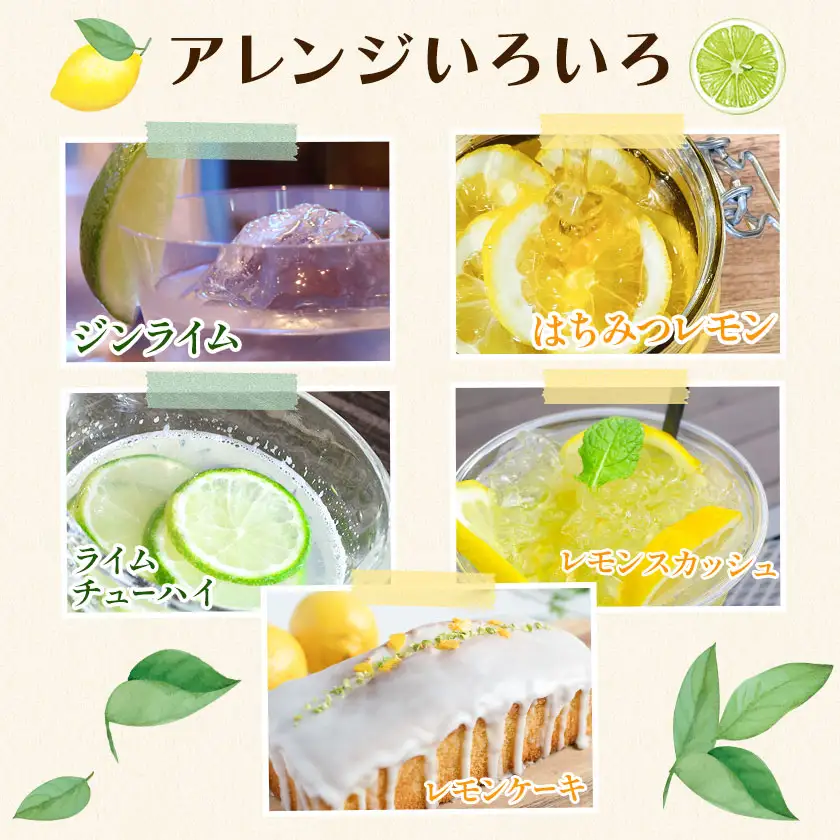 レモンとライム 詰め合わせ 約2kg レモン ライム