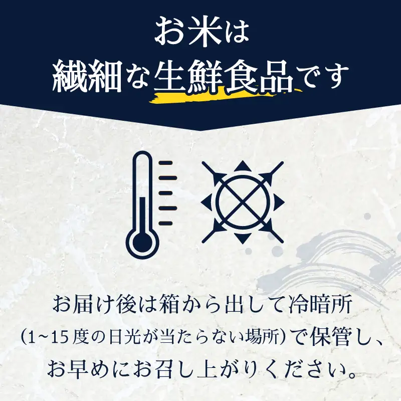 令和8年産 新米 5つ星お米マイスターの厳選米 おまかせ 白米 10kg (a16-216)