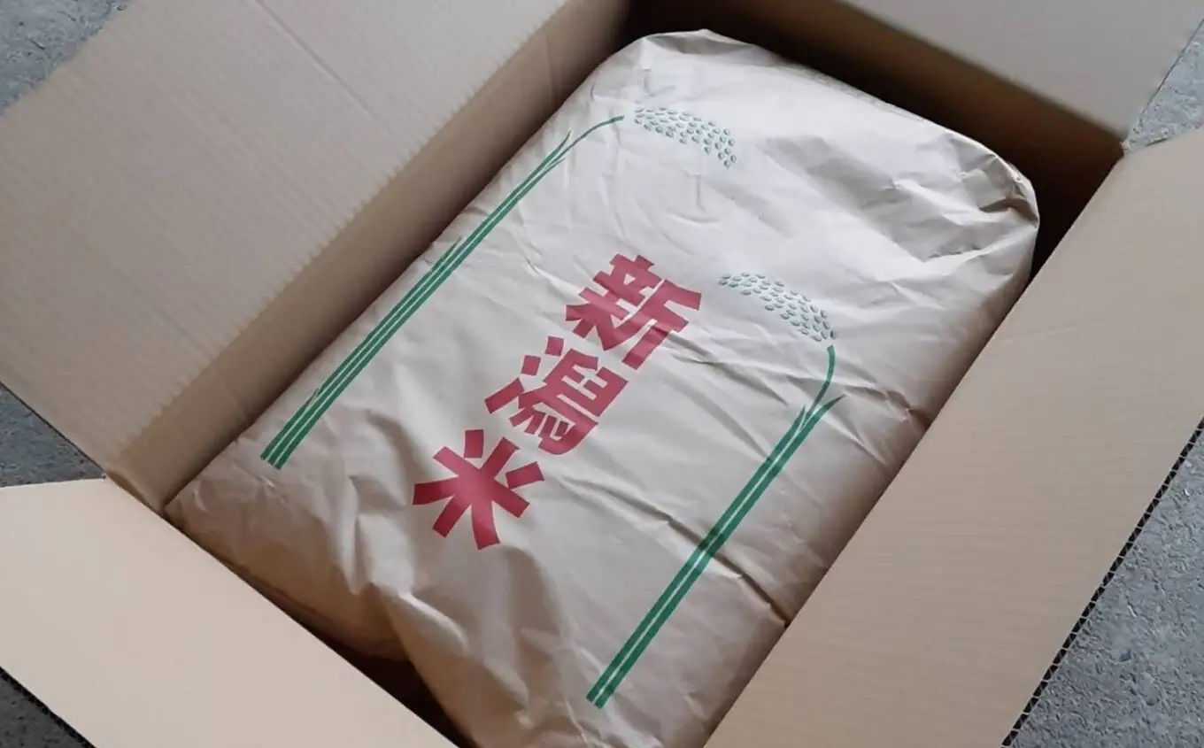 【新米先行予約】令和8年産米 新之助 （精米済 無洗米） 26.5kg 田村農産[Y0651]
