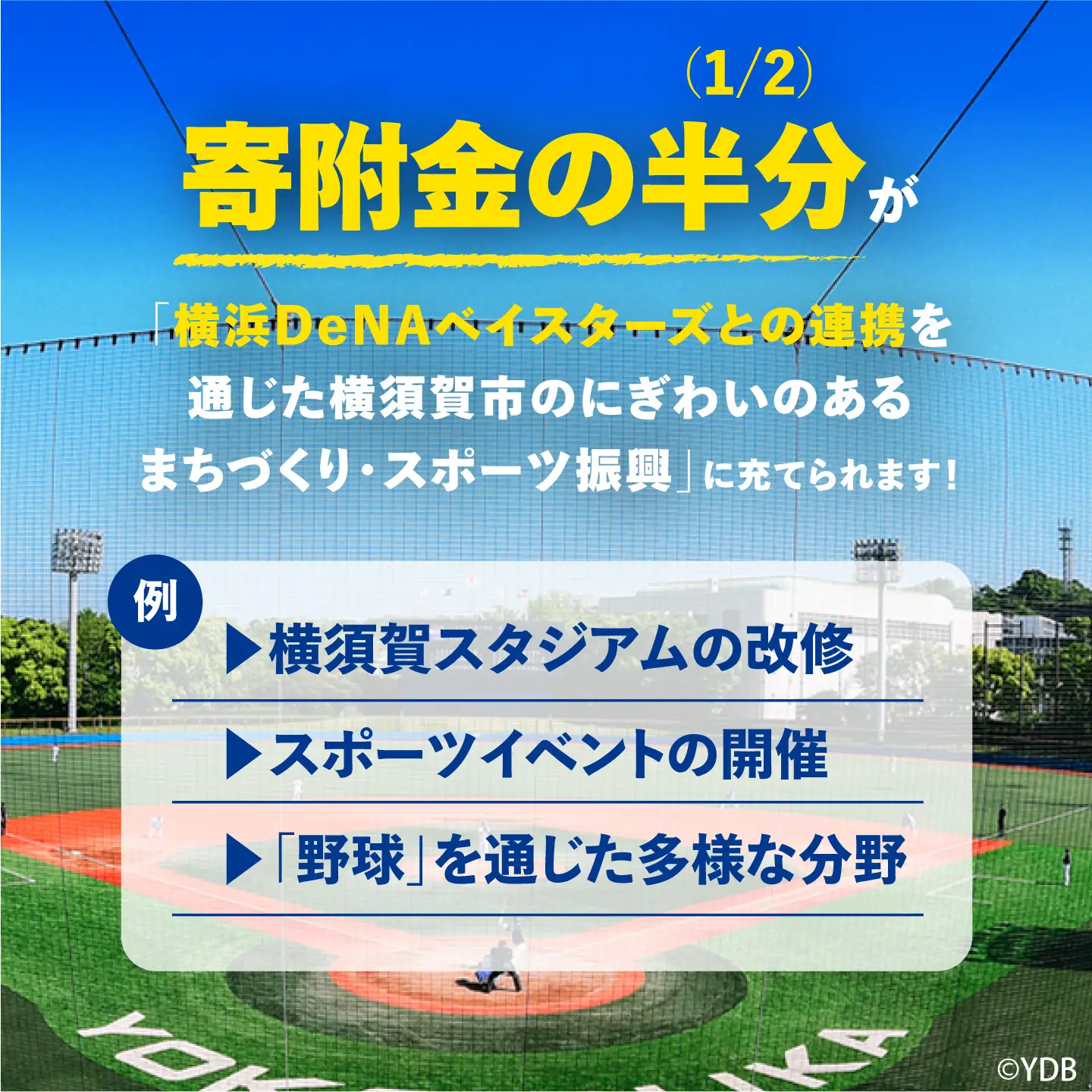 【数量限定700セット】横浜DeNAベイスターズ陶器入りカスタードプリン(180g)×2個セット【マーロウ】[AKAF153] AKIF